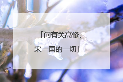 问有关高修、宋一国的一切