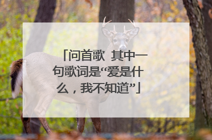 问首歌 其中一句歌词是“爱是什么,我不知道”