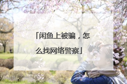 闲鱼上被骗,怎么找网络警察