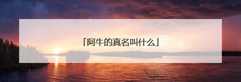 阿牛的真名叫什么