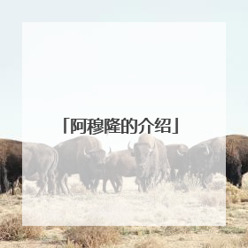 阿穆隆的介绍