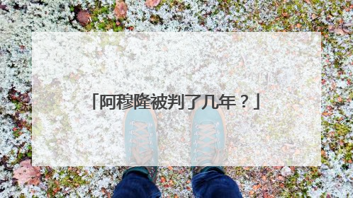 阿穆隆被判了几年?