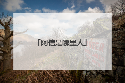 阿信是哪里人