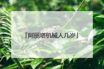 阿丽塔机械人几岁