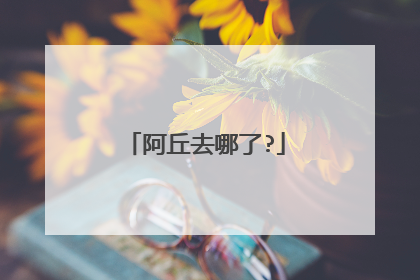 阿丘去哪了?