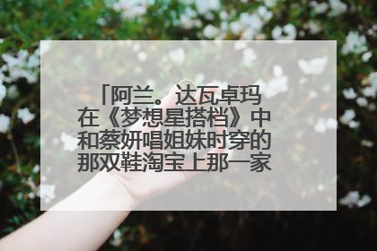 阿兰。达瓦卓玛 在《梦想星搭档》中和蔡妍唱姐妹时穿的那双鞋淘宝上那一家店铺有卖的