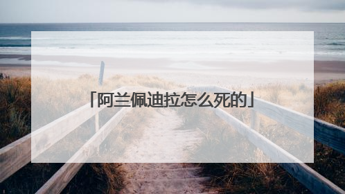 阿兰佩迪拉怎么死的