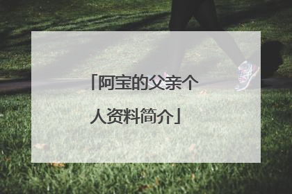 阿宝的父亲个人资料简介