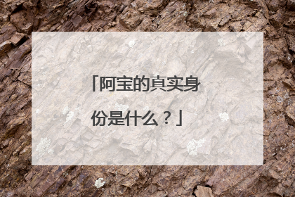 阿宝的真实身份是什么？