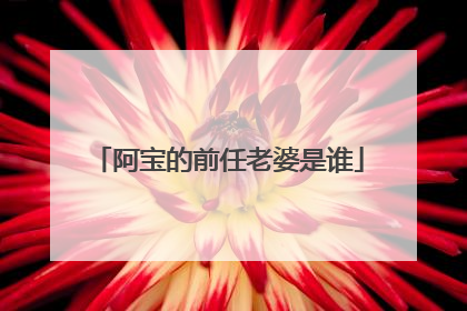 阿宝的前任老婆是谁