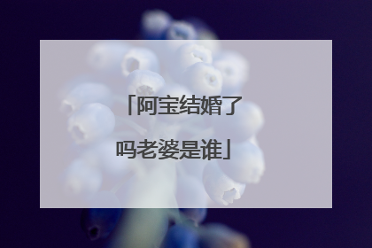 阿宝结婚了吗老婆是谁