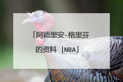 阿德里安-格里芬的资料 |NBA