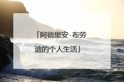 阿德里安·布劳迪的个人生活