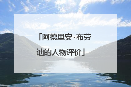 阿德里安·布劳迪的人物评价