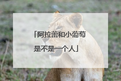 阿拉蕾和小葡萄是不是一个人