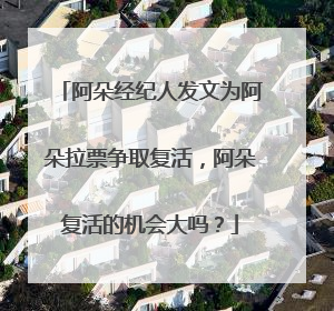 阿朵经纪人发文为阿朵拉票争取复活，阿朵复活的机会大吗？
