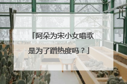 阿朵为宋小女唱歌是为了蹭热度吗?