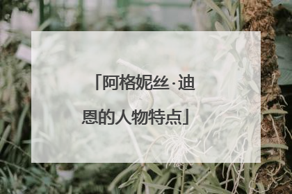 阿格妮丝·迪恩的人物特点