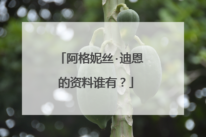 阿格妮丝·迪恩的资料谁有？
