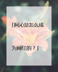 阿沁是怎么成为网红的?