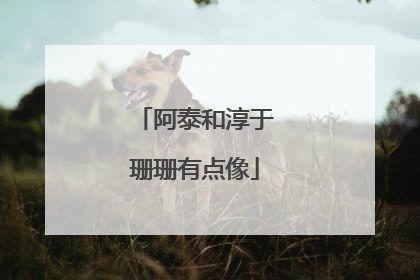 阿泰和淳于珊珊有点像