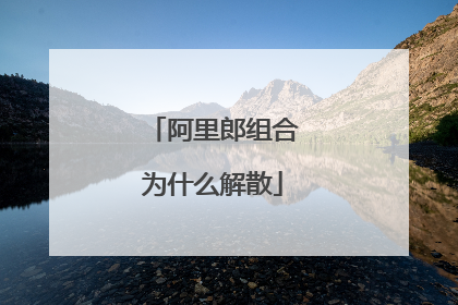 阿里郎组合为什么解散