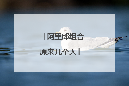 阿里郎组合原来几个人