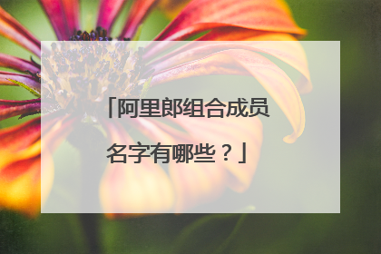 阿里郎组合成员名字有哪些？