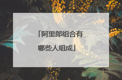阿里郎组合有哪些人组成