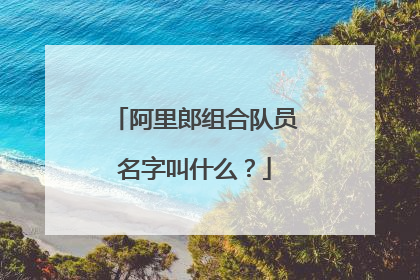 阿里郎组合队员名字叫什么？