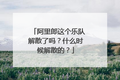 阿里郎这个乐队解散了吗？什么时候解散的？
