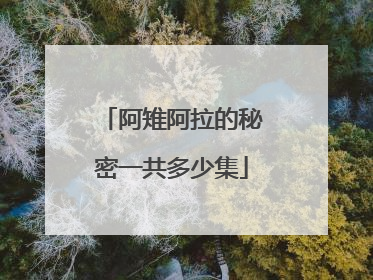 阿雉阿拉的秘密一共多少集