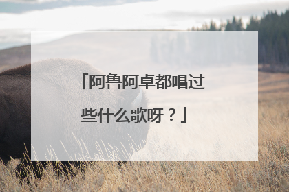 阿鲁阿卓都唱过些什么歌呀？