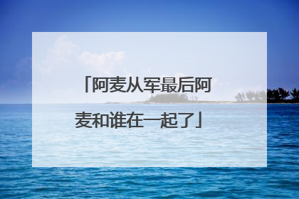 阿麦从军最后阿麦和谁在一起了