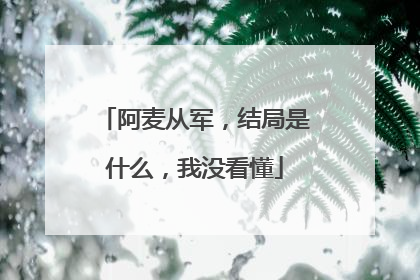 阿麦从军，结局是什么，我没看懂