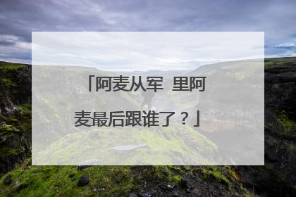 阿麦从军 里阿麦最后跟谁了？