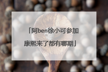 阿ben徐小可参加康熙来了都有哪期