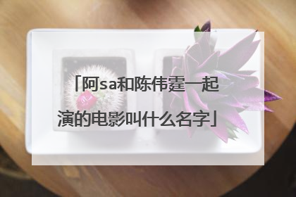 阿sa和陈伟霆一起演的电影叫什么名字