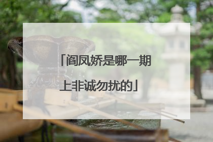 阎凤娇是哪一期上非诚勿扰的