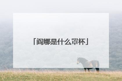 阎娜是什么罩杯