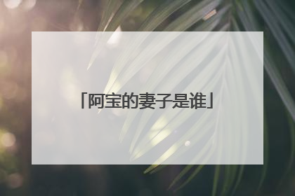 阿宝的妻子是谁