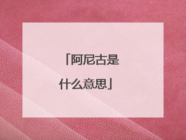 阿尼古是什么意思