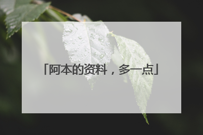 阿本的资料，多一点