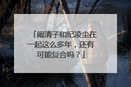 阚清子和纪凌尘在一起这么多年,还有可能复合吗?