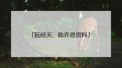 阮经天、陈乔恩资料