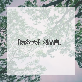 阮经天和刘品言