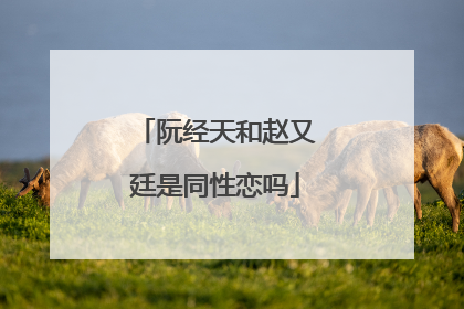 阮经天和赵又廷是同性恋吗