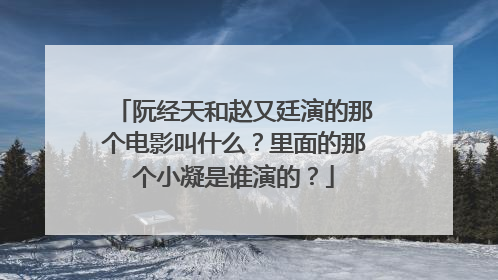 阮经天和赵又廷演的那个电影叫什么?里面的那个小凝是谁演的?
