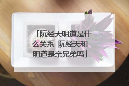 阮经天明道是什么关系 阮经天和明道是亲兄弟吗