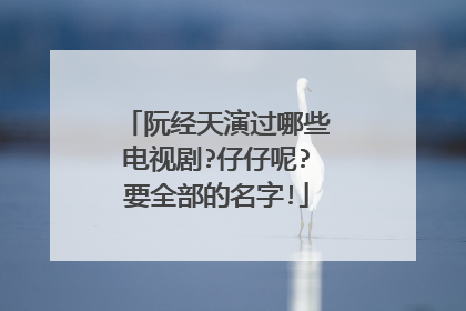 阮经天演过哪些电视剧?仔仔呢?要全部的名字!